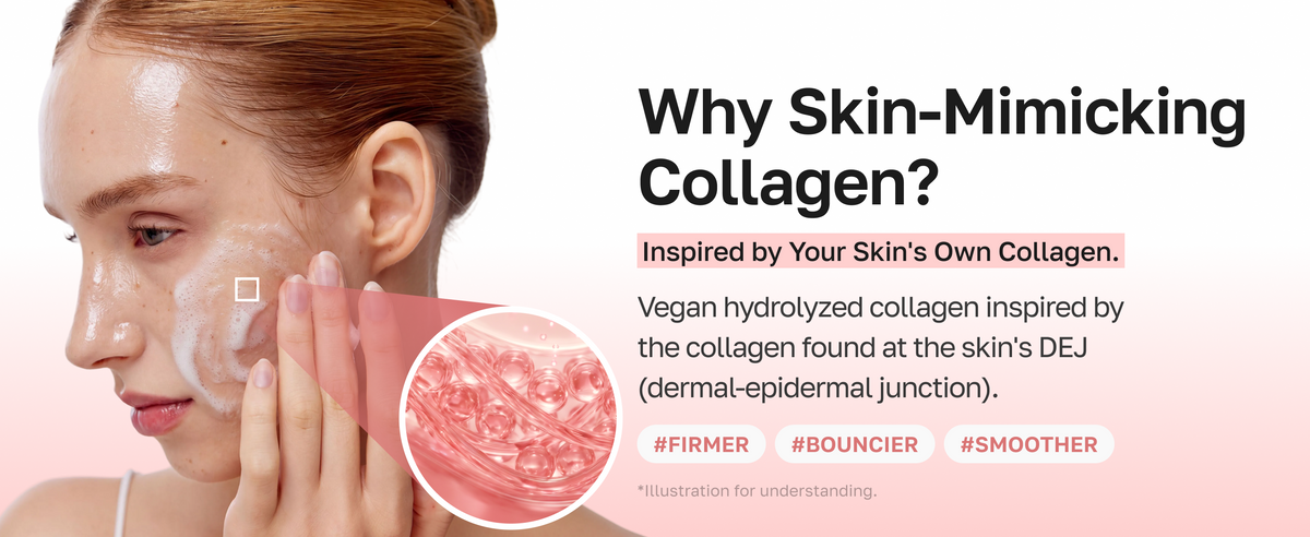 Why skin-mimicking collagen: vegan hydrolyzed collagen inspired by the collagen at the skin DEJ