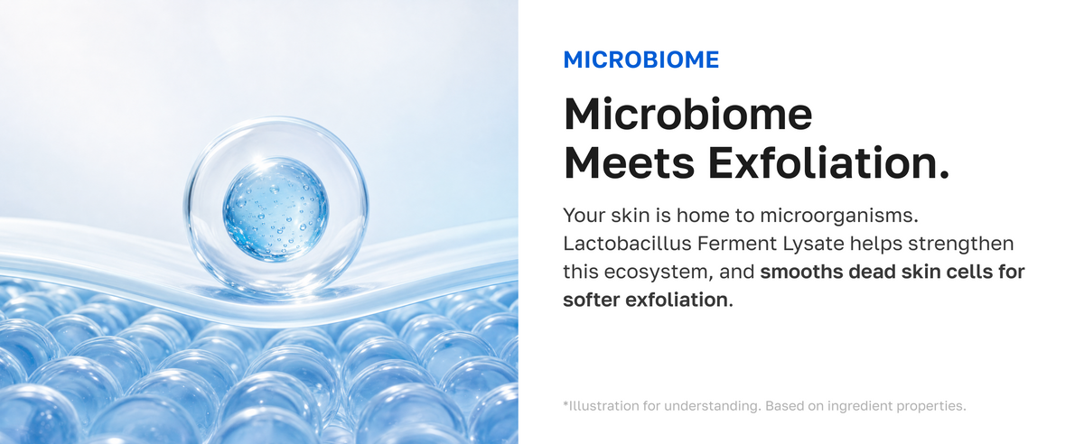 Microbiome meets exfoliation: Lactobacillus ferment lysate supports the skin ecosystem
